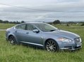 Jaguar XF PREMIUM LUXURY V6 STUNNING EXAMPLE FSH 8