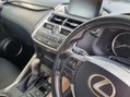 Lexus NX 300H SPORT 27