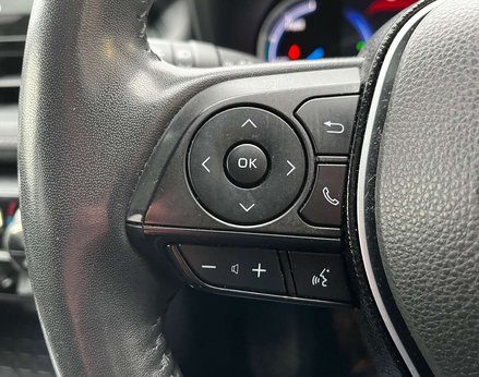 Toyota Rav4 2.5 RAV4 Excel HEV 4x2 CVT 5dr 51