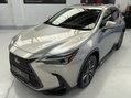Lexus NX 450H PLUS TAKUMI 15