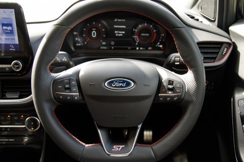Ford Puma ST 16