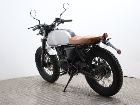 Mutt Akita 125 Pre-registered 7