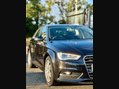 Audi A3 TFSI Sportback Tronic quattro 28