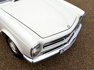 Mercedes-Benz SL Series 230SL Pagoda 20