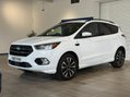 Ford Kuga 2.0 TDCi EcoBlue ST-Line Euro 6 (s/s) 5dr 7