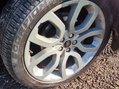 Land Rover Range Rover Evoque SD4 DYNAMIC 15