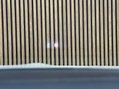 Mercedes-Benz E Class 2.0 E 300 AMG Line Premium Auto 2dr 21