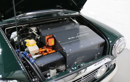 David Brown Automotive eMastered David Brown Automotive e-Mastered - Rare Incredible Machine 44