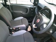 Fiat Panda TWINAIR EASY ONLY 51,000 MILES FROM NEW 7
