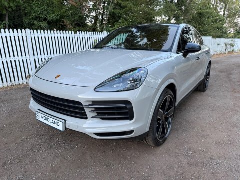 Porsche Cayenne V6 PLATINUM EDITION 8