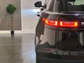 Land Rover Range Rover Velar 2.0 D240 HSE Auto 4WD Euro 6 (s/s) 5dr 24