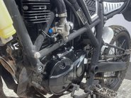 Herald Motor Co Brat 2022 7K TALL ENDURO BIKE LEARNER 125CC 13