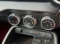 Mazda MX-5 2.0 MX-5 100th Anniversary Edition 2dr 41