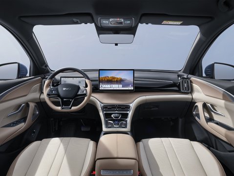 Sealion 5 DM-i 8