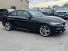 BMW 2 Series 2.0 218d M Sport 2dr