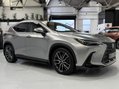 Lexus NX 450H PLUS TAKUMI 6