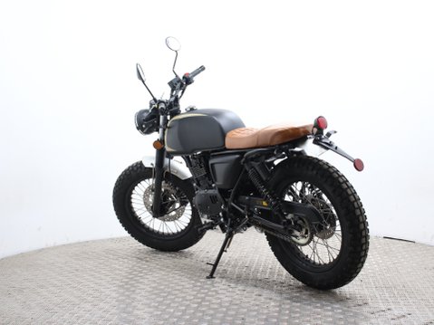 Mutt Akita 125 Pre-registered 6