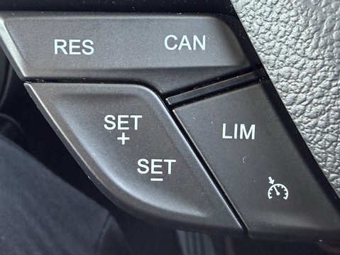 Ford Ecosport 1.0 EcoBoost 125 ST-Line 5dr 33