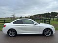 BMW 2 Series 1.5 218i M Sport Euro 6 (s/s) 2dr 8