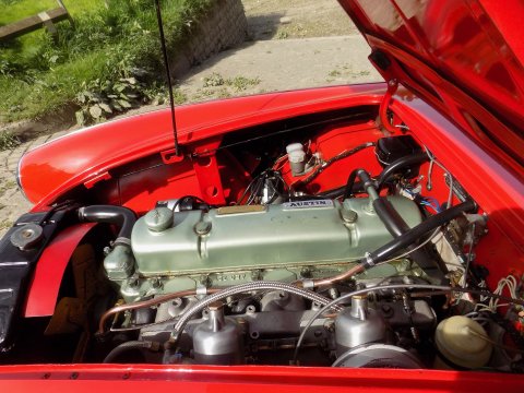 Austin Healey 100/6 BN4 75