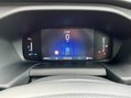 Ford Transit 350 LIMITED L3H2 P/V ECOBLUE 165 BHP 14