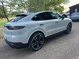 Porsche Cayenne V6 PLATINUM EDITION 18