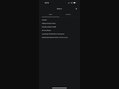 Tesla Model 3 (Dual Motor) Performance 21