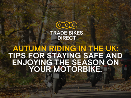 Autumn Riding in the UK: Tips for Staying Safe and Enjoying the Season