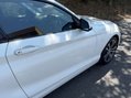 BMW 2 Series 2.0 218d Sport 2dr 51