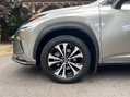 Lexus NX 300H 43