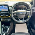 Ford Fiesta 1.0T EcoBoost Active B&O Play Euro 6 (s/s) 5dr 