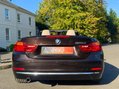 BMW 4 Series 2.0 420d Luxury Auto Euro 6 (s/s) 2dr 51