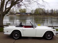 Triumph TR5 Sports 5