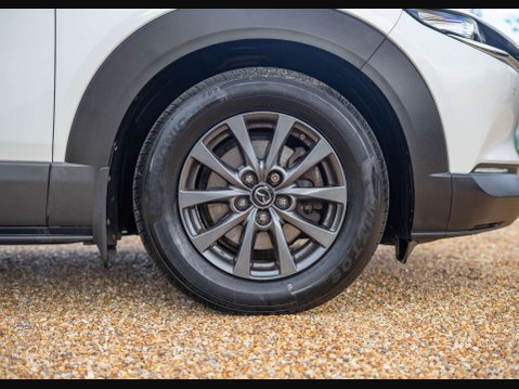 Mazda CX-30 2.0 CX-30 SE-L Luxury MHEV 5dr 41