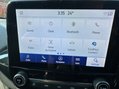 Ford Fiesta ST-LINE X MHEV 23