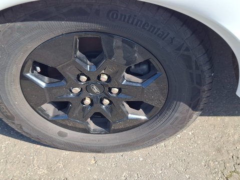 Bailey Adamo 75-4i AUTO 10