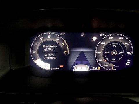 Cupra Formentor 1.5 TSI V2 SUV 5dr Petrol Manual Euro 6 (s/s) (150 ps) Cruise Control - Hea 13