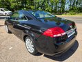 Ford Focus CC2 10