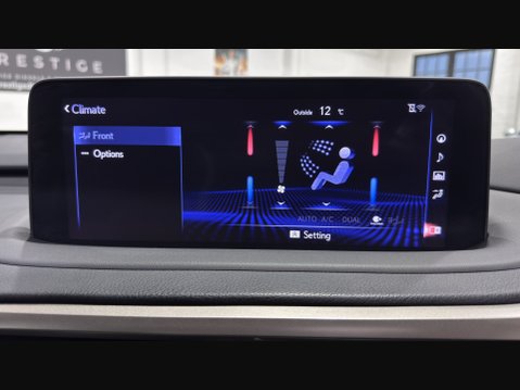 Lexus RX 450H F SPORT TAKUMI PANORAMIC ROOf 76