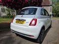 Fiat 500 COLLEZIONE 12