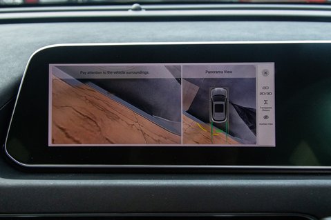 GWM Ora Funky Cat FIRST EDITION 31