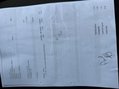 Renault Kangoo 1.5 dCi ENERGY ML19 Business Panel Van 5dr Diesel Manual MWB Euro 6 (s/s) ( 38