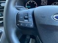 Ford Transit Custom 300 LIMITED P/V ECOBLUE 17