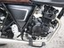 Mutt Mastiff 125 Pre-registered 11