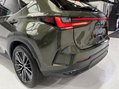 Lexus NX 450H PLUS TAKUMI 19