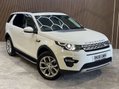 Land Rover Discovery Sport 2.0 Discovery Sport HSE SD4 Auto 4WD 5dr 40