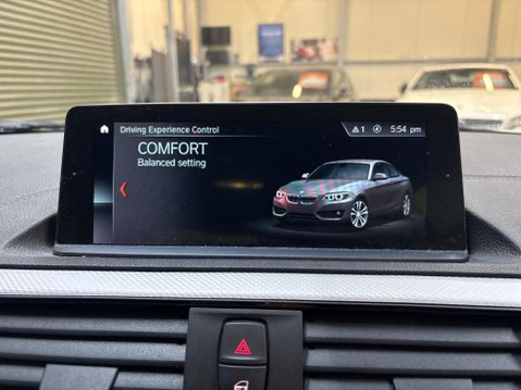 BMW 2 Series 3.0 M240i Auto Euro 6 (s/s) 2dr 37