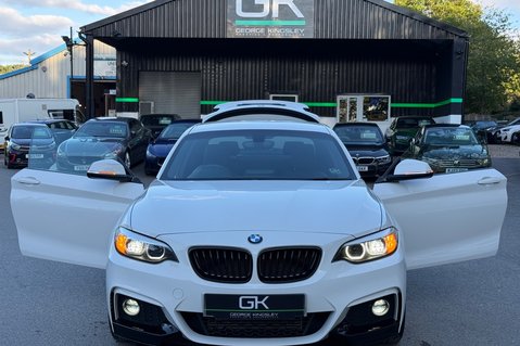 BMW 2 Series 220D M SPORT AUTOMATIC -BODYKIT -PLUS PACK -HARMAN KARDON -LEATHER 20