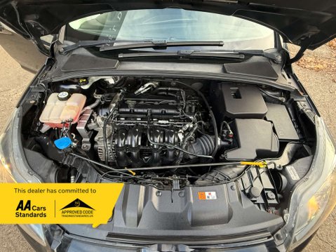 Ford Focus 1.6 Focus Titanium 125 5dr 53