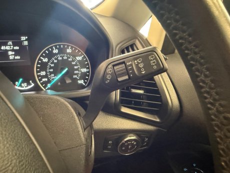 Ford Ecosport 1.0T EcoBoost Titanium Euro 6 (s/s) 5dr 21